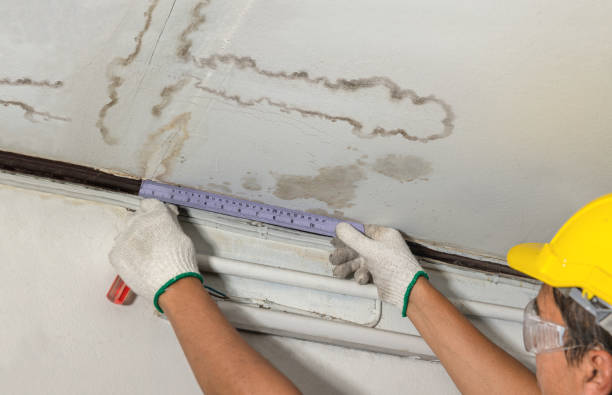 Reliable Basement Water Removal contractor in Gainesville, GA by Water Damage Irwin